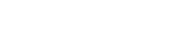 Logo — Olasova & Partners