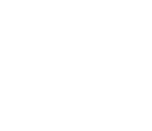 Logo — Partner ELITE MOVE
