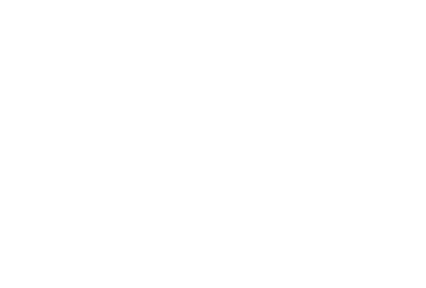 Logo — VENASUM